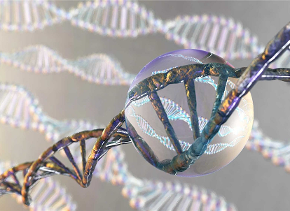 Whole Genome Bisulfite Sequencing (WGBS)